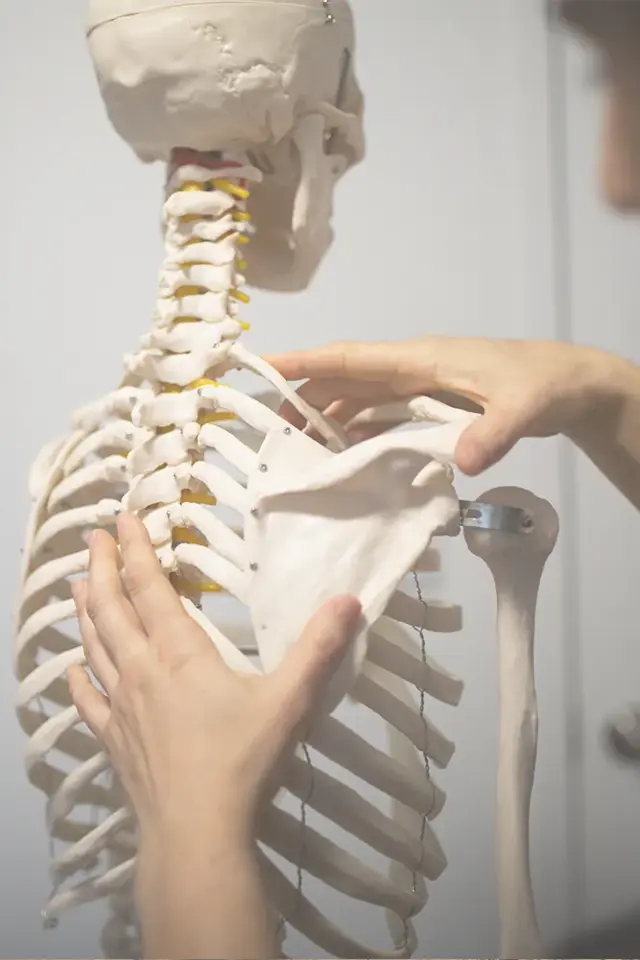 ediucation-helping-patients-understand-their-pain